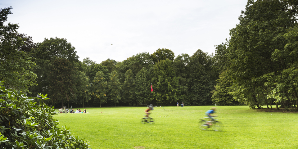 U kan genieten van de natuur, van kunst en sport in Hof De Bist