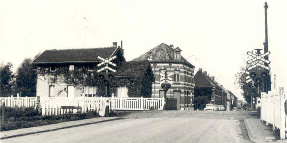Zicht op de Scheldelei vanuit de Berkenrodelei