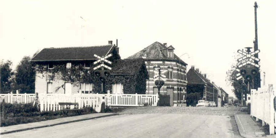 Zicht op de Scheldelei vanuit de Berkenrodelei