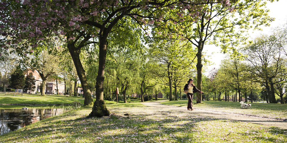 Broydenborg sluit aan bij park Sorghvliedt