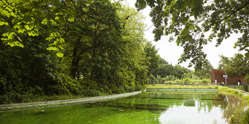 In het Boekenbergpark bevindt zich een zwemvijver
