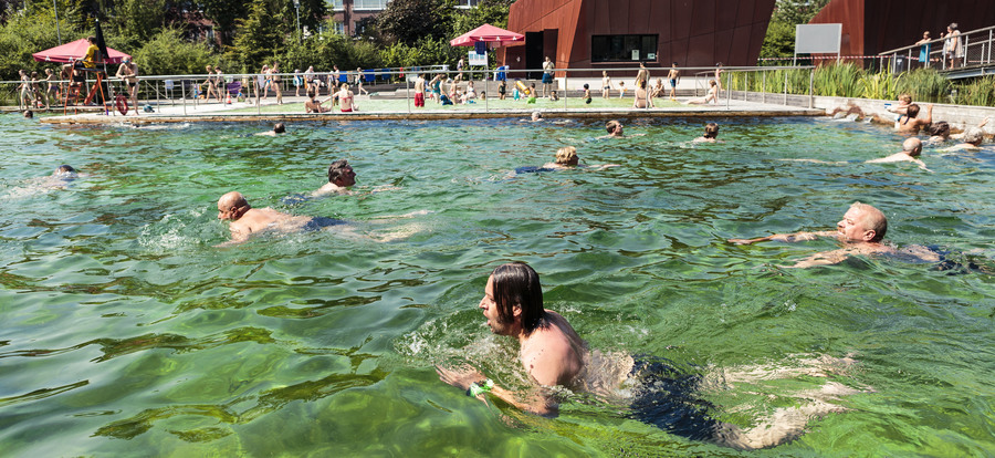 Overzichtsbeeld van zwemvijver Boekenberg Overzichtsbeeld van zwemvijver Boekenberg