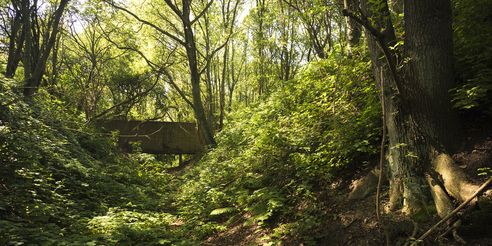 Fort VII is een beschermd monument en een erkend natuurreservaat
