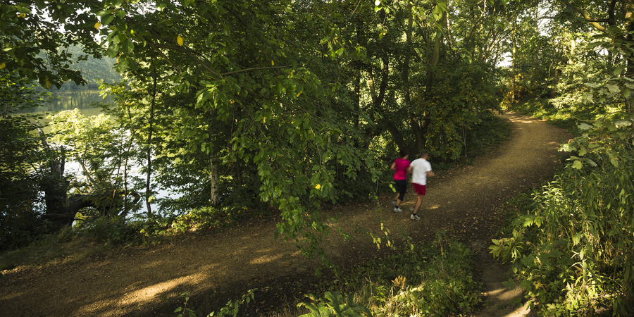 In het Fort van Merksem kan u allerlei sporten beoefenen In het Fort van Merksem kan u allerlei sporten beoefenen