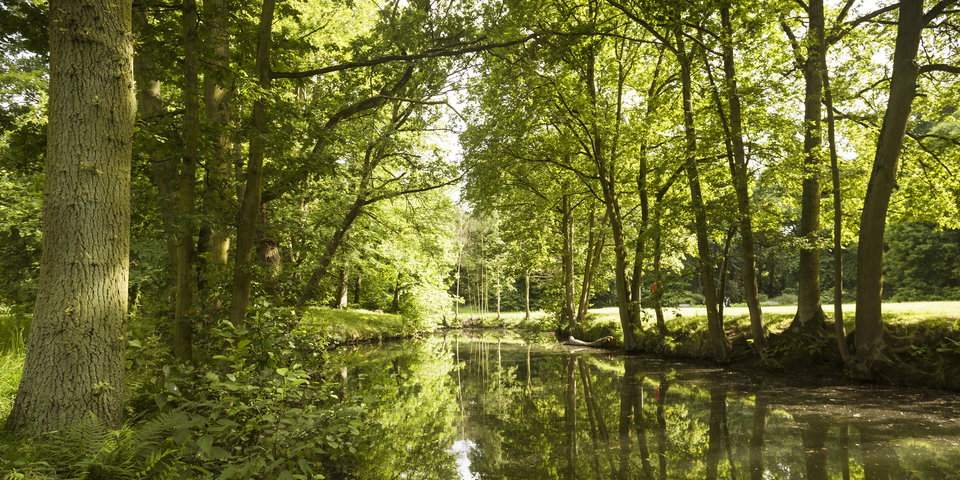 Park Vogelzang is aangelegd in typische Engelse landschapstijl