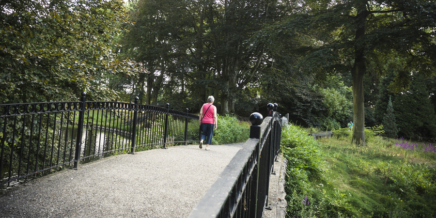 Het gemeentepark heeft een mooie vijver